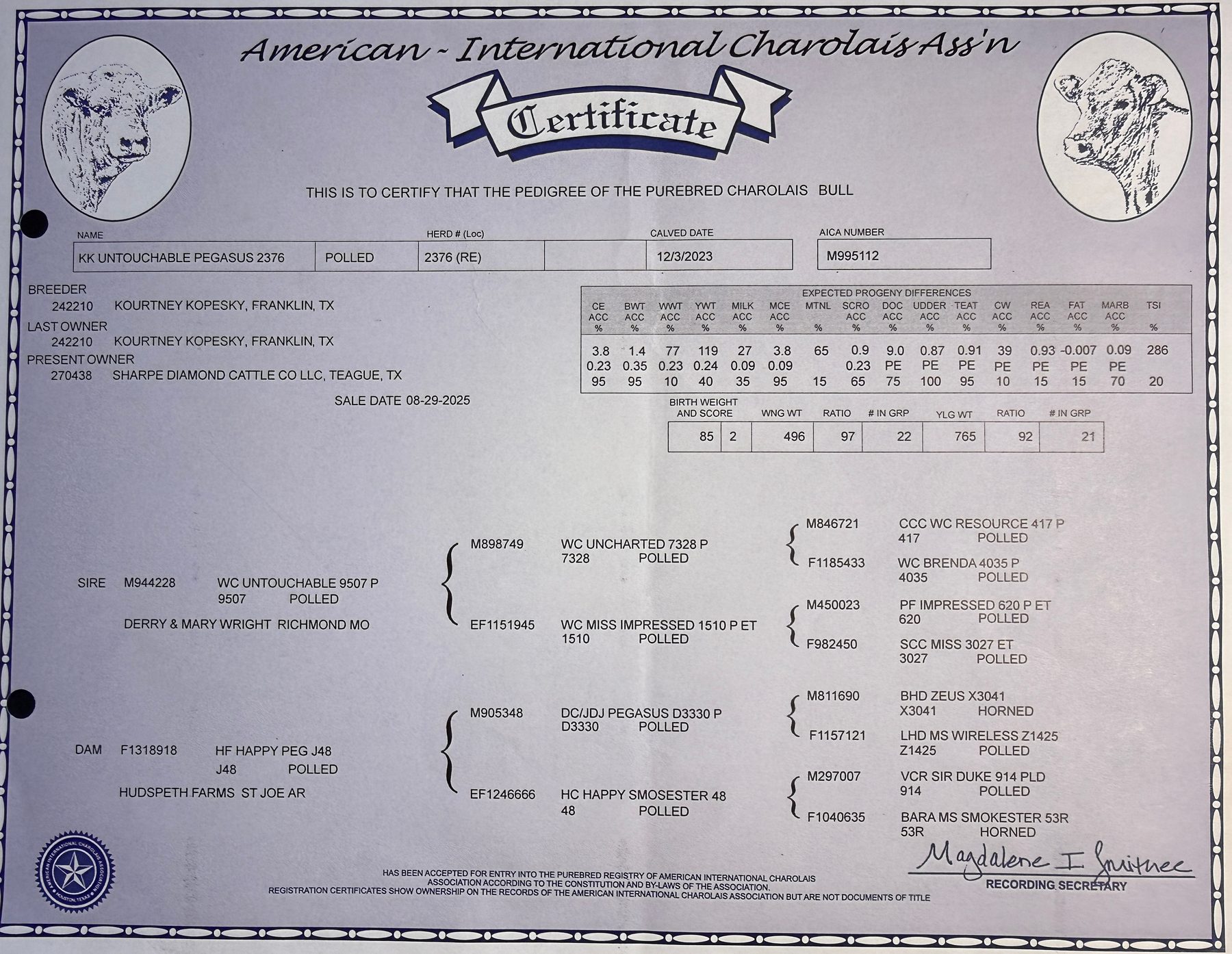 AICA pedigree certificate for Bubba