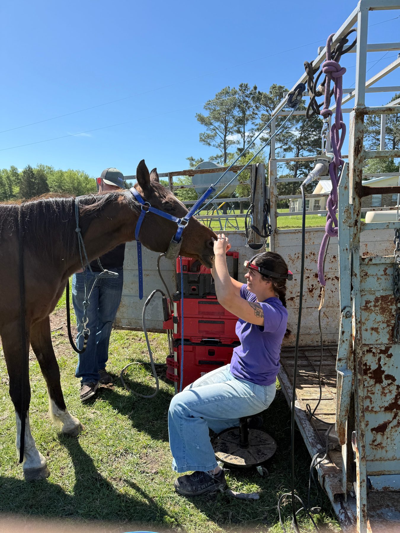 Robert Sharpe with one of the sanctuary horses
